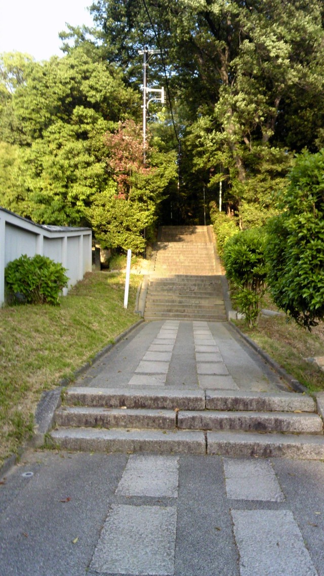 20130519193415_625_1