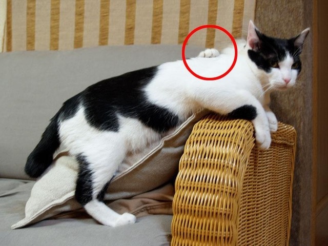 今日保存した画像を転載したり雑談したりするスレ54xvideo>5本 YouTube動画>1本 ->画像>2004枚 