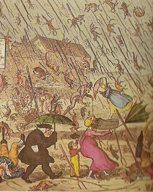 478px-Pluie_de_chats