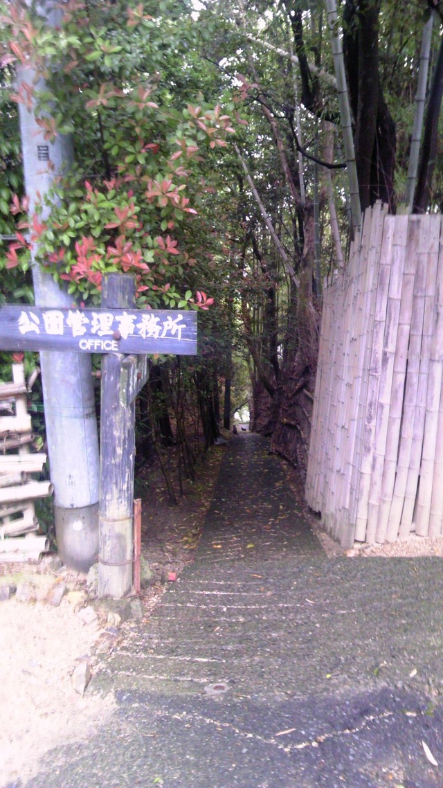 20130519193415_90_1