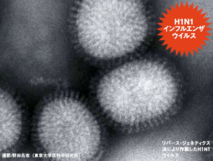h1n1_virus_2