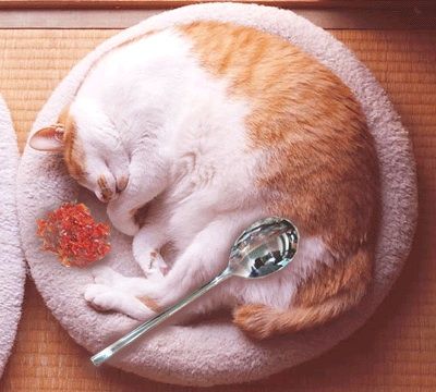 かれー