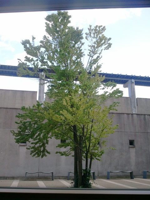 86_1