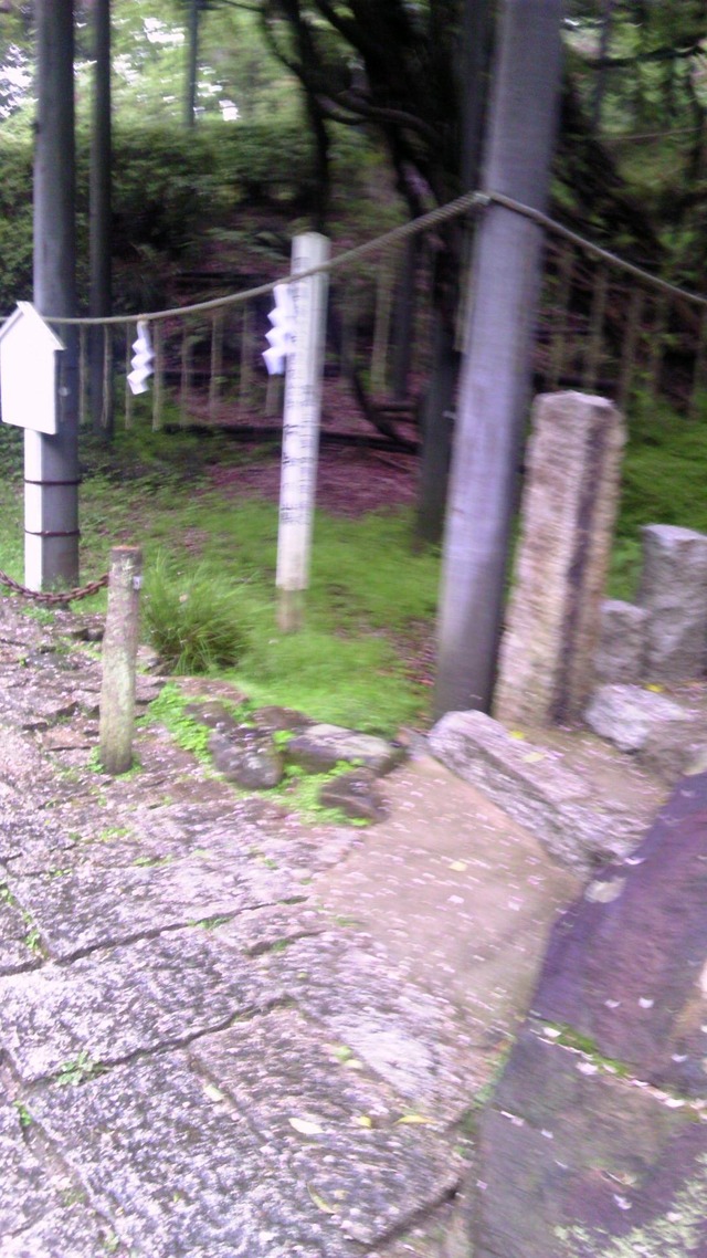 20130519193415_440_1