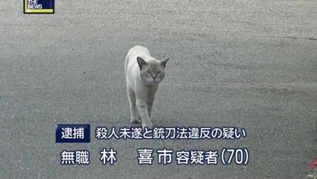 20140225201248_640_1