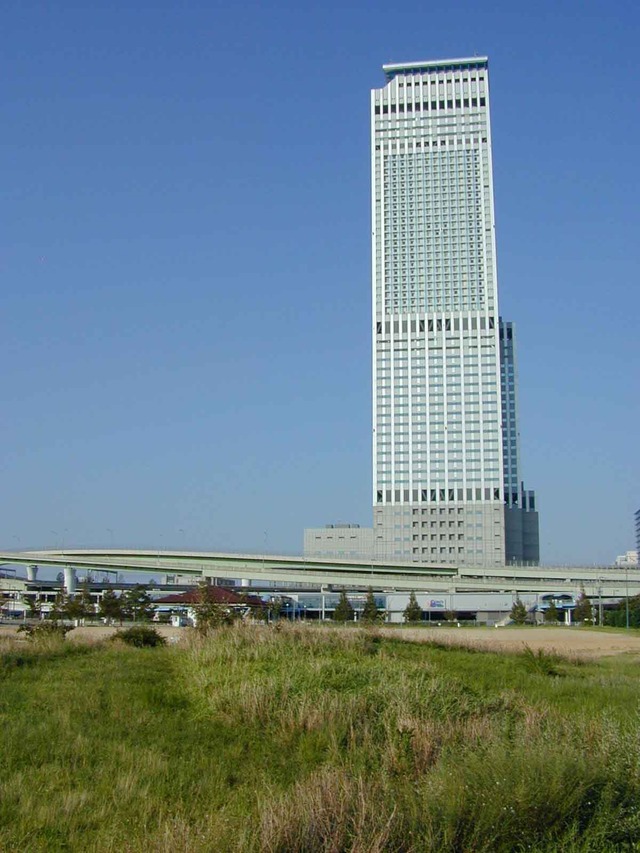 31_1