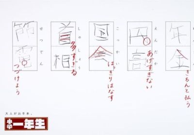 皮肉