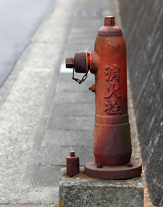 Fire_hydrant_4