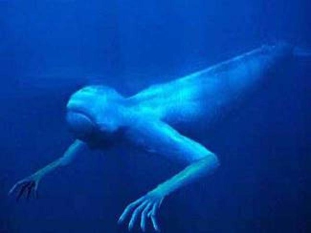 ningen