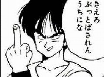 ヤムチャ0