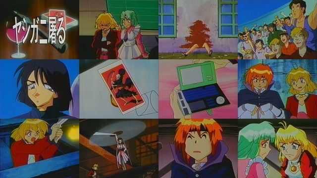 ヤシガニ