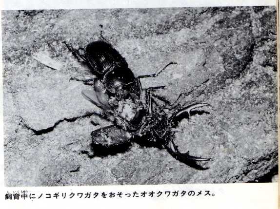 20140623070814_242_1