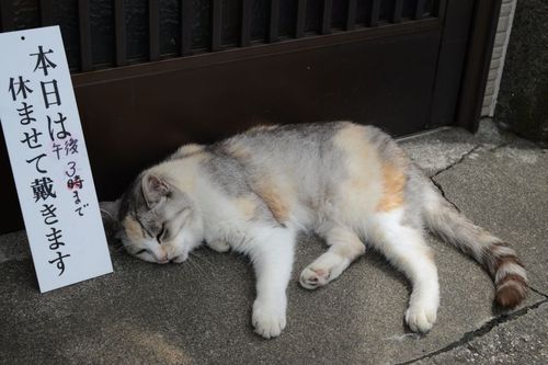 20140723203300_32_1