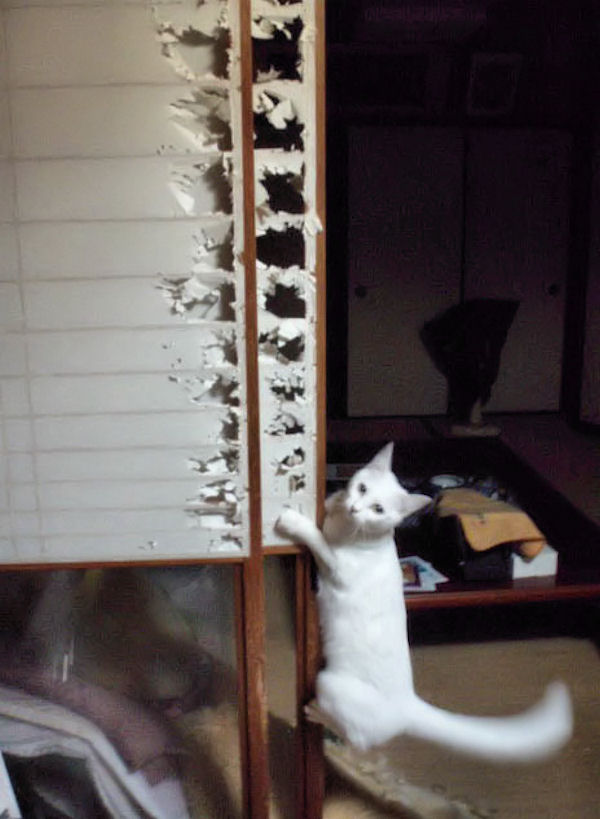 20140224211325_303_3