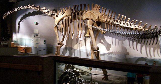 800px-Supersaurus