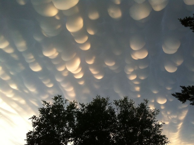 20130623192915_17_1