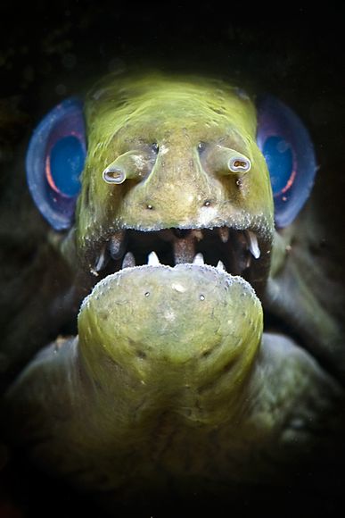20130831081029_152_10