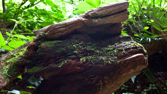 20140715183917_71_1