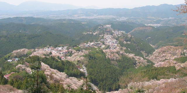 奈良の南部とかいう秘境wwwwwww