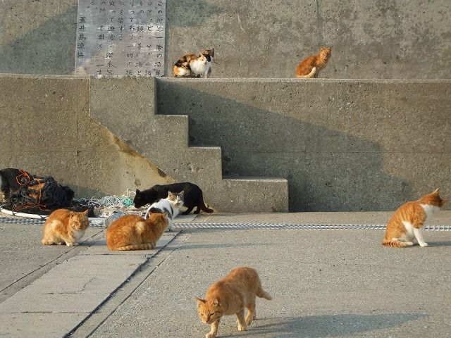 20130628093400_1_11