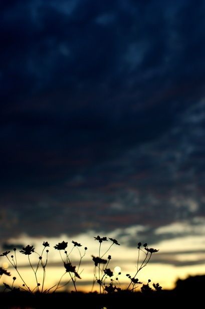 20130107052927_695_1