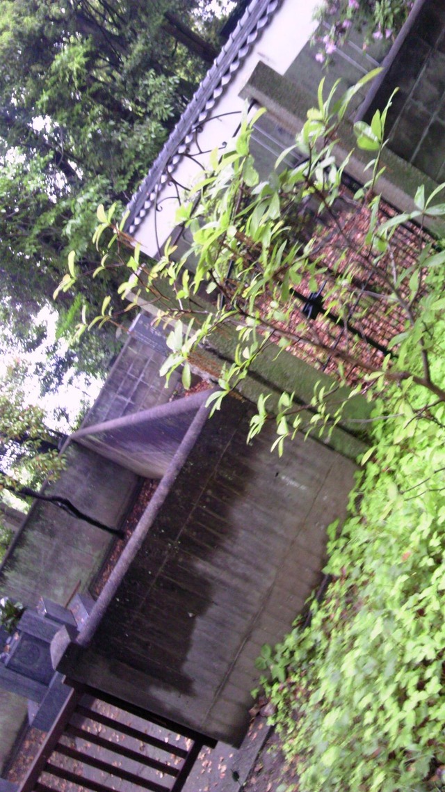 20130519193415_103_1