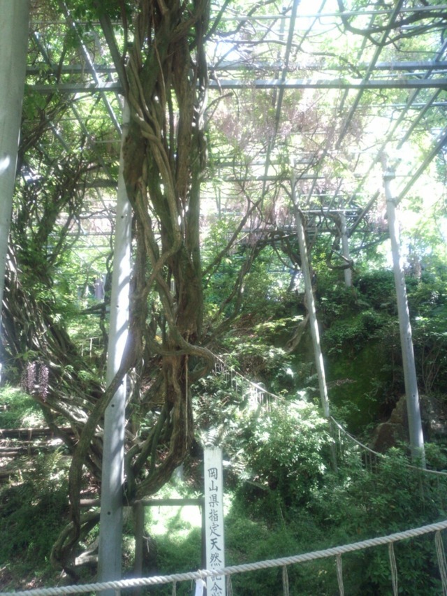 20130519193415_292_2