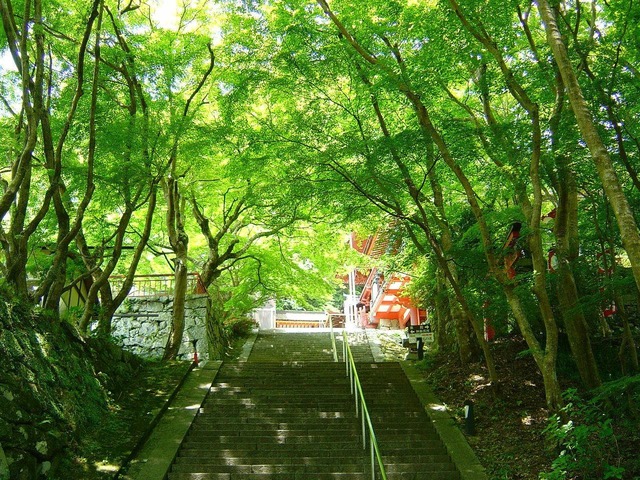 20130517063521_52_2