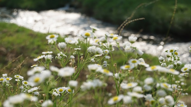 20140715183917_65_1