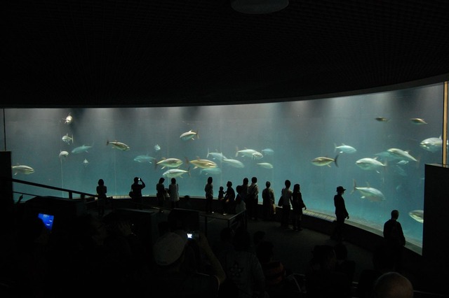 20130519213529_199_1