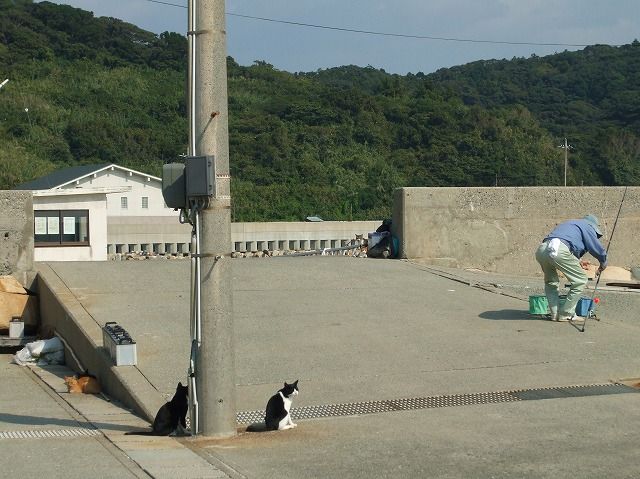 20130628093400_1_9