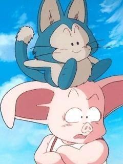 ウーロン