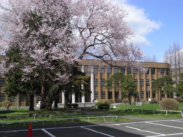 20130531022813_14_1