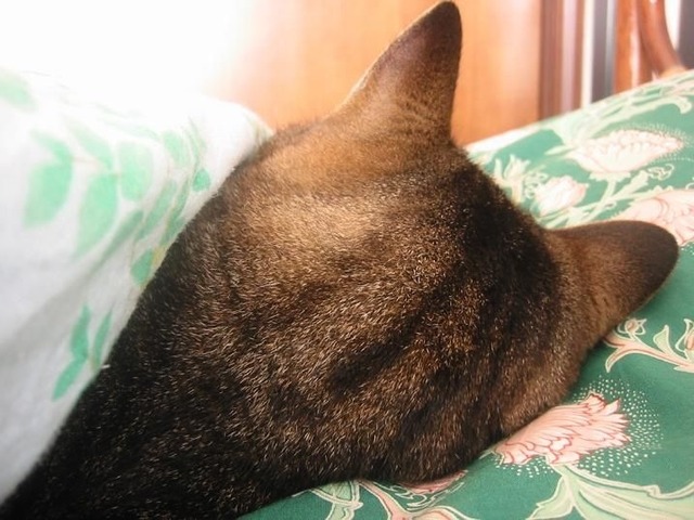 20130623183435_456_7