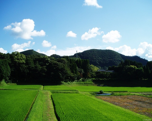 20140715183917_15_4