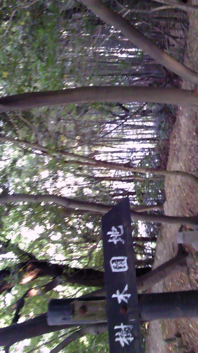20130519193415_629_1