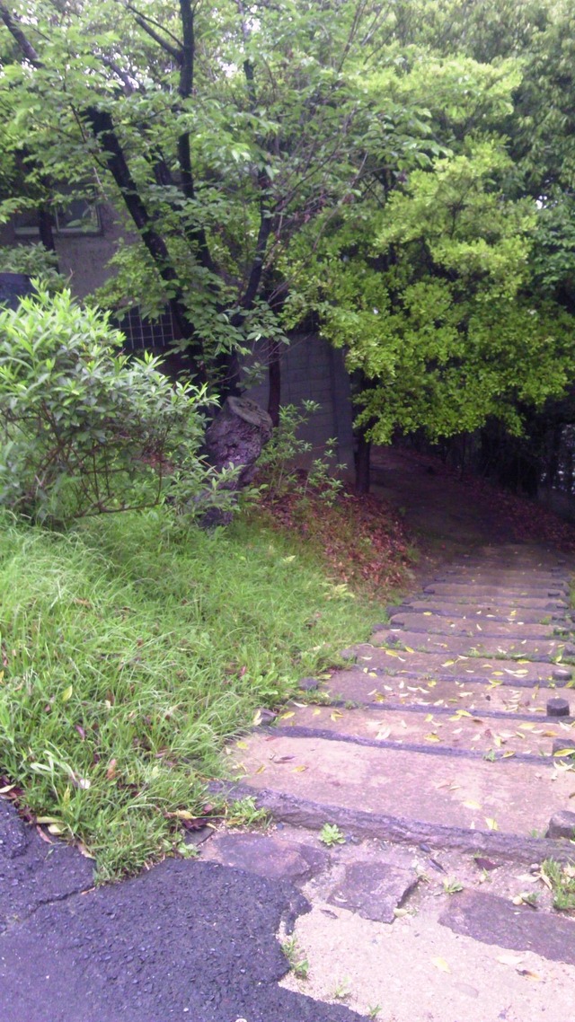 20130519193415_110_1
