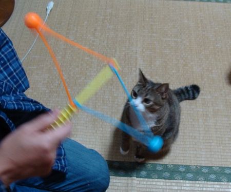 20130609071251_34_1