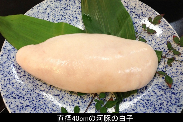 20130103120247_288_1