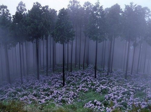 20140723182826_843_2