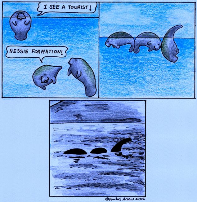 131_1