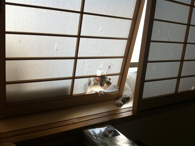 20140224211325_303_9