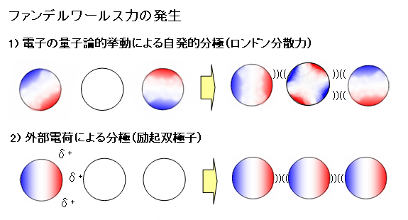 説明図_ファンデルワールス力1