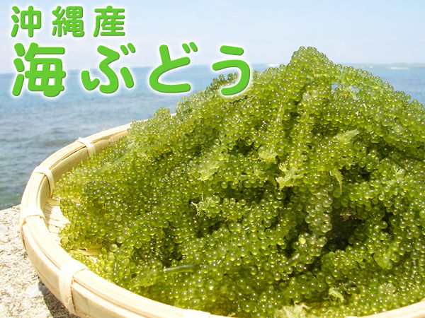 壬生