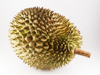 durian03