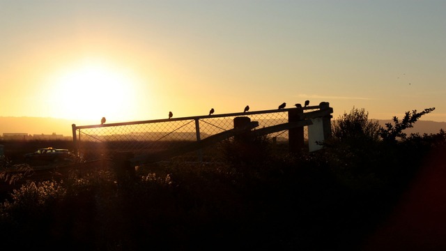 20140625235843_295_3