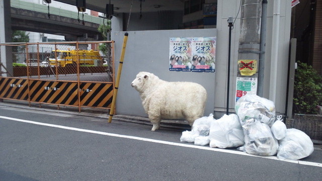 ステル