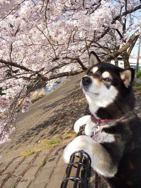 20130406172655_60_11