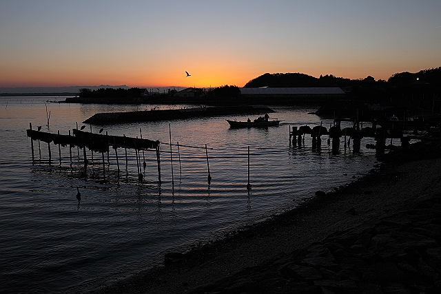 IMG_6137_s