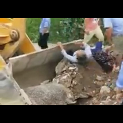 記事紹介